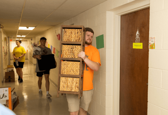 Welcome Home Worker carrying shelf into room
